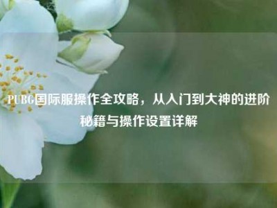 PUBG国际服操作全攻略，从入门到大神的进阶秘籍与操作设置详解