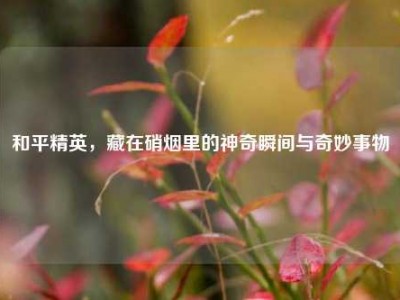 和平精英，藏在硝烟里的神奇瞬间与奇妙事物