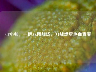 CF小帅，一把AK闯战场，刀战燃尽热血青春