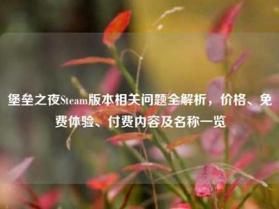 堡垒之夜Steam版本相关问题全解析，价格、免费体验、付费内容及名称一览