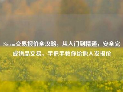 Steam交易报价全攻略，从入门到精通，安全完成物品交易，手把手教你给他人发报价