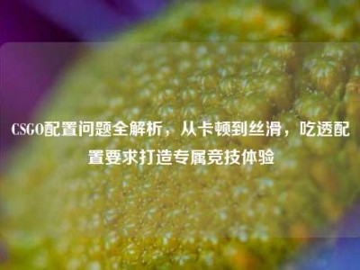 CSGO配置问题全解析，从卡顿到丝滑，吃透配置要求打造专属竞技体验