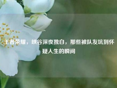 王者荣耀，峡谷深夜独白，那些被队友坑到怀疑人生的瞬间