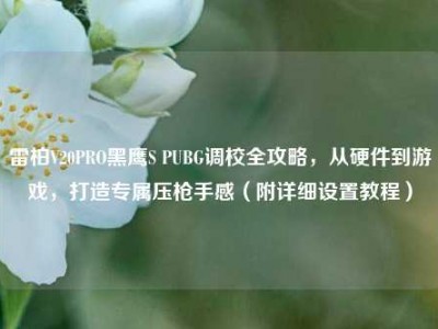 雷柏V20PRO黑鹰S PUBG调校全攻略，从硬件到游戏，打造专属压枪手感（附详细设置教程）