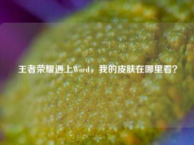 王者荣耀遇上Word，我的皮肤在哪里看？