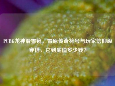 PUBG龙神滑雪镜，雪原传奇符号与玩家信仰级穿搭，它到底值多少钱？