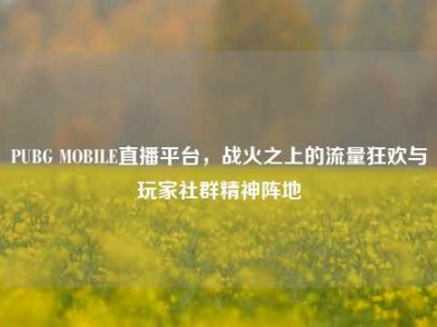 PUBG MOBILE直播平台，战火之上的流量狂欢与玩家社群精神阵地