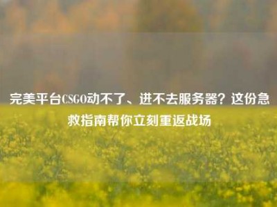 完美平台CSGO动不了、进不去服务器？这份急救指南帮你立刻重返战场