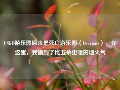CSGO游乐园原来是死亡游乐园（Overpass），在这里，我摸到了比五杀更暖的烟火气