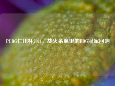 PUBG仁川杯2021，战火余温里的EDG冠军回响