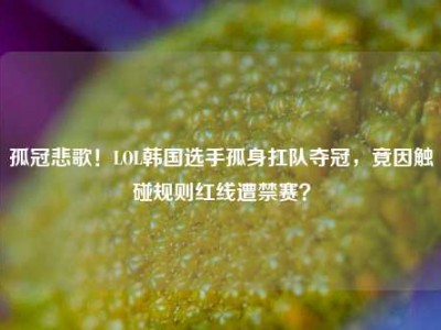 孤冠悲歌！LOL韩国选手孤身扛队夺冠，竟因触碰规则红线遭禁赛？