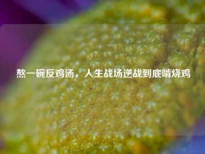 熬一碗反鸡汤，人生战场逆战到底啃烧鸡