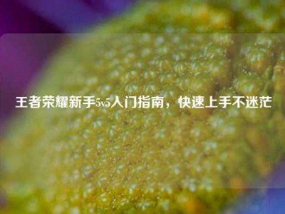 王者荣耀新手5v5入门指南，快速上手不迷茫