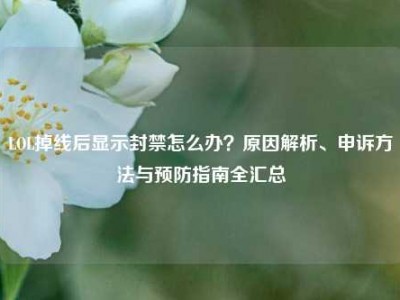 LOL掉线后显示封禁怎么办？原因解析、申诉方法与预防指南全汇总