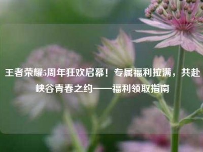 王者荣耀5周年狂欢启幕！专属福利拉满，共赴峡谷青春之约——福利领取指南