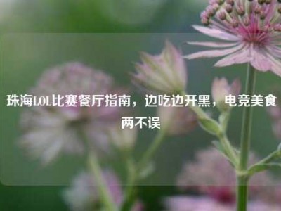 珠海LOL比赛餐厅指南，边吃边开黑，电竞美食两不误
