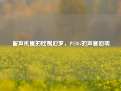 留声机里的吃鸡旧梦，PUBG的声音回响