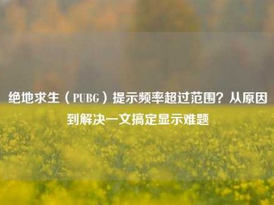 绝地求生（PUBG）提示频率超过范围？从原因到解决一文搞定显示难题