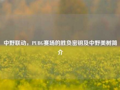 中野联动，PUBG赛场的胜负密钥及中野美树简介
