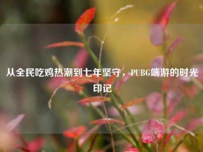 从全民吃鸡热潮到七年坚守，PUBG端游的时光印记