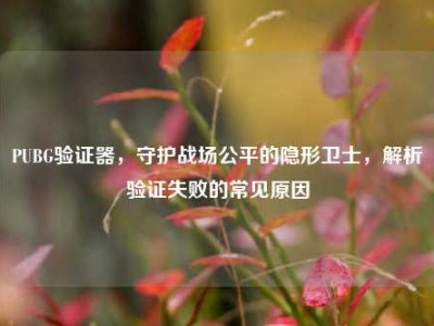 PUBG验证器，守护战场公平的隐形卫士，解析验证失败的常见原因