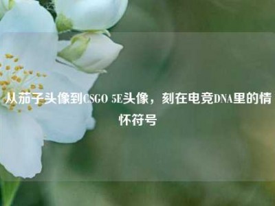 从茄子头像到CSGO 5E头像，刻在电竞DNA里的情怀符号