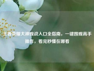 王者荣耀大神观战入口全指南，一键围观高手操作，看完秒懂在哪看