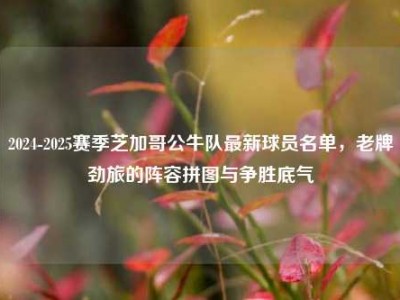 2024-2025赛季芝加哥公牛队最新球员名单，老牌劲旅的阵容拼图与争胜底气