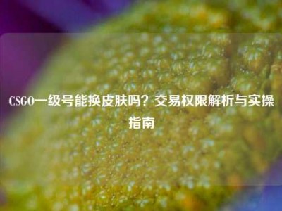 CSGO一级号能换皮肤吗？交易权限解析与实操指南