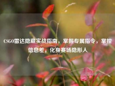 CSGO雷达隐藏实战指南，掌握专属指令，掌控信息差，化身赛场隐形人