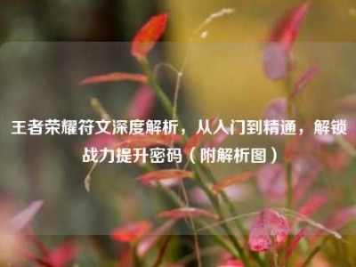 王者荣耀符文深度解析，从入门到精通，解锁战力提升密码（附解析图）
