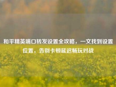 和平精英端口转发设置全攻略，一文找到设置位置，告别卡顿延迟畅玩对战