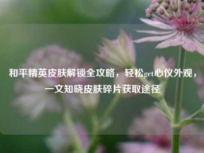 和平精英皮肤解锁全攻略，轻松get心仪外观，一文知晓皮肤碎片获取途径