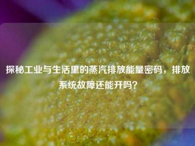 探秘工业与生活里的蒸汽排放能量密码，排放系统故障还能开吗？