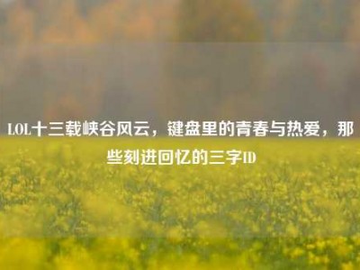 LOL十三载峡谷风云，键盘里的青春与热爱，那些刻进回忆的三字ID