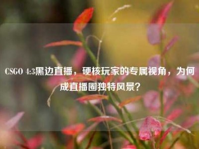CSGO 4:3黑边直播，硬核玩家的专属视角，为何成直播圈独特风景？