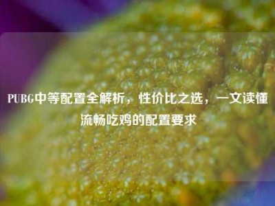 PUBG中等配置全解析，性价比之选，一文读懂流畅吃鸡的配置要求