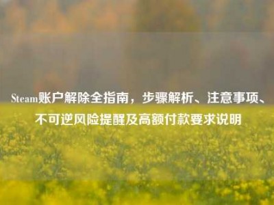 Steam账户解除全指南，步骤解析、注意事项、不可逆风险提醒及高额付款要求说明