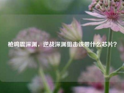枪鸣震深渊，逆战深渊狙击该带什么芯片？