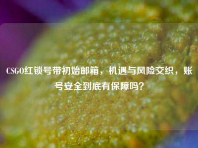 CSGO红锁号带初始邮箱，机遇与风险交织，账号安全到底有保障吗？