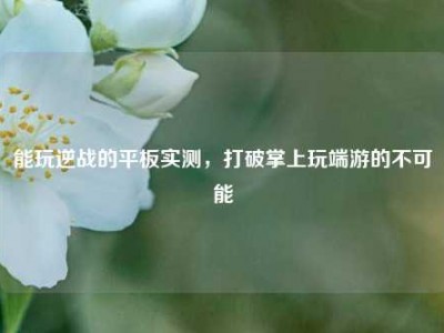 能玩逆战的平板实测，打破掌上玩端游的不可能