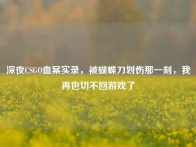 深夜CSGO血案实录，被蝴蝶刀划伤那一刻，我再也切不回游戏了