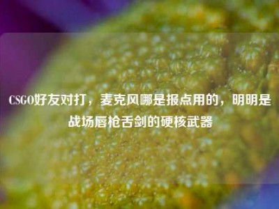 CSGO好友对打，麦克风哪是报点用的，明明是战场唇枪舌剑的硬核武器