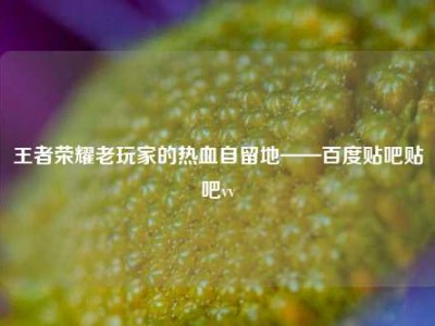王者荣耀老玩家的热血自留地——百度贴吧贴吧vv