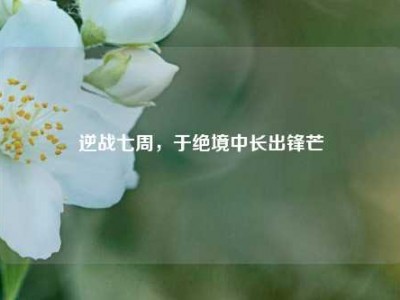 逆战七周，于绝境中长出锋芒