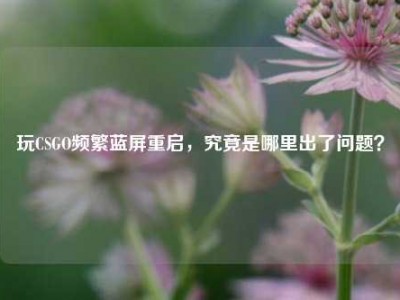 玩CSGO频繁蓝屏重启，究竟是哪里出了问题？