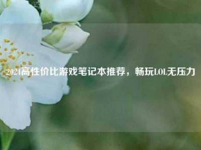 2024高性价比游戏笔记本推荐，畅玩LOL无压力