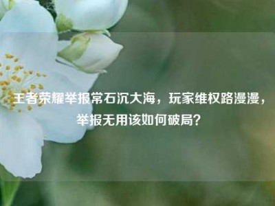 王者荣耀举报常石沉大海，玩家维权路漫漫，举报无用该如何破局？