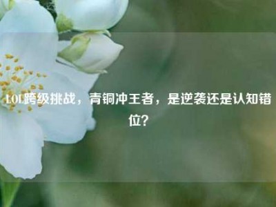 LOL跨级挑战，青铜冲王者，是逆袭还是认知错位？