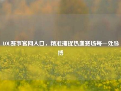 LOL赛事官网入口，精准捕捉热血赛场每一处脉搏